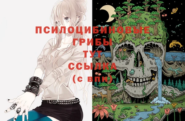 мет Аркадак