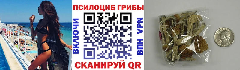 ОМГ ОМГ   Льгов  Галлюциногенные грибы прущие грибы 